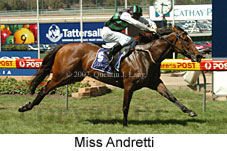 Miss Andretti (14872 bytes)