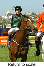 Return to scale (15361 bytes)