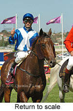 Return to scale (15361 bytes)