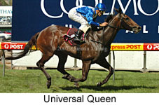 Universal Queen  (18229 bytes)