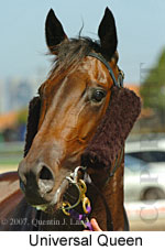 Universal Queen (14872 bytes)