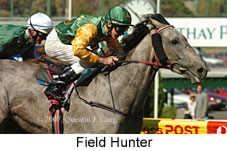 Field Hunter (14872 bytes)