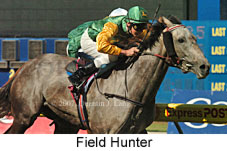 Field Hunter (14872 bytes)