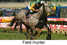 Field Hunter (14872 bytes)