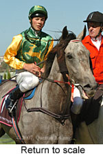 Return to scale (15361 bytes)