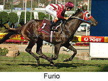 Furio (14872 bytes)