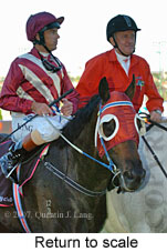 Return to scale (15361 bytes)