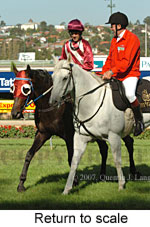 Return to scale (15361 bytes)