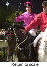 Return to scale (14705 bytes)