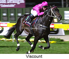 Viscount (18818 bytes)