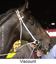 Viscount (12996 bytes)