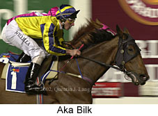 r3akabilk.jpg (15127 bytes)