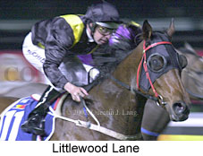 r4littlewoodlane.jpg (15713 bytes)