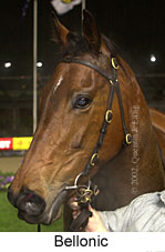 r5bellonic2.jpg (10757 bytes)