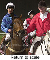 r5rtosc.jpg (14658 bytes)