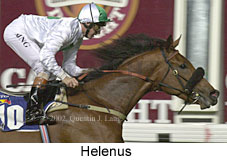 r6helenus.jpg (13778 bytes)