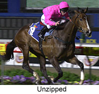 r7unzipped2.jpg (14803 bytes)