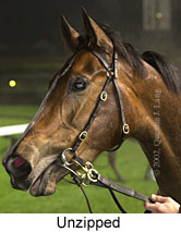 r7unzipped3.jpg (11936 bytes)