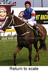 Return to scale (16955 bytes)