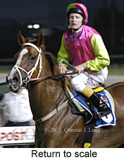 Return to scale (15775 bytes)