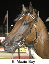 El Moxie Boy (13571 bytes)