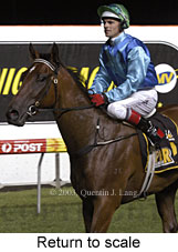 Return to scale (14661 bytes)