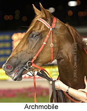 Archmobile (15021 bytes)