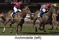 Archmobile (15148 bytes)