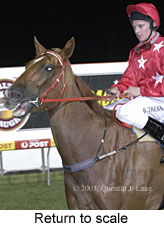 Return to scale (13088 bytes)