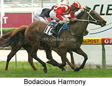 Bodacious Harmony (18294 bytes)