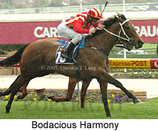 Bodacious Harmony (18294 bytes)