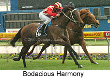 Bodacious Harmony (18294 bytes)