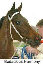 Bodacious Harmony (18294 bytes)