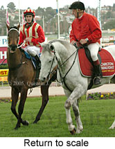 Return to scale (14117 bytes)