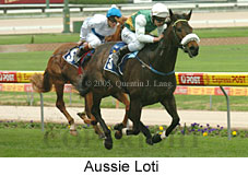 Aussie Loti (18294 bytes)