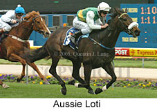 Aussie Loti (18294 bytes)