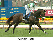 Aussie Loti (18294 bytes)