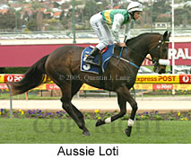 Aussie Loti (18294 bytes)