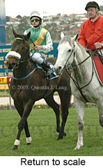 Return to scale (14117 bytes)