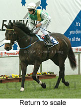 Return to scale (14117 bytes)