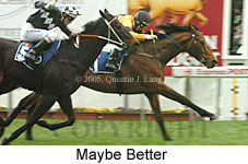 Maybe Better (18294 bytes)