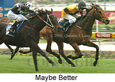 Maybe Better (18294 bytes)