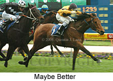 Maybe Better (18294 bytes)