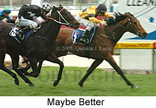 Maybe Better (18294 bytes)