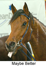 Maybe Better (18294 bytes)