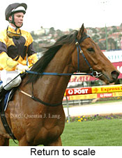 Return to scale (14117 bytes)