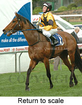 Return to scale (14117 bytes)