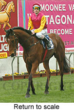 Return to scale (14117 bytes)