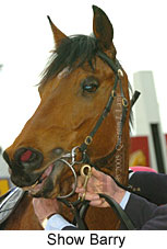 Show Barry (18294 bytes)