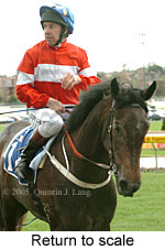 Return to scale (14117 bytes)